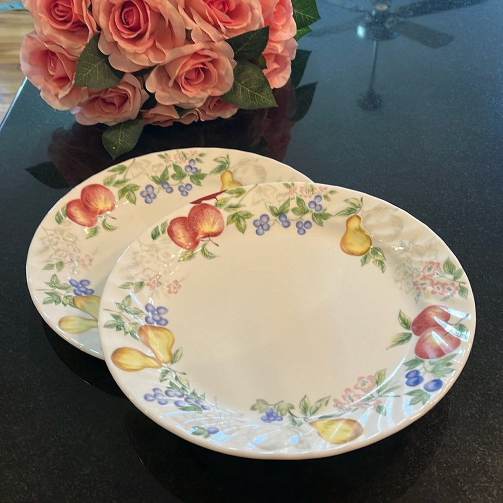 (2) Dinner Plate - "Chutney" by CORNING - Set of 2